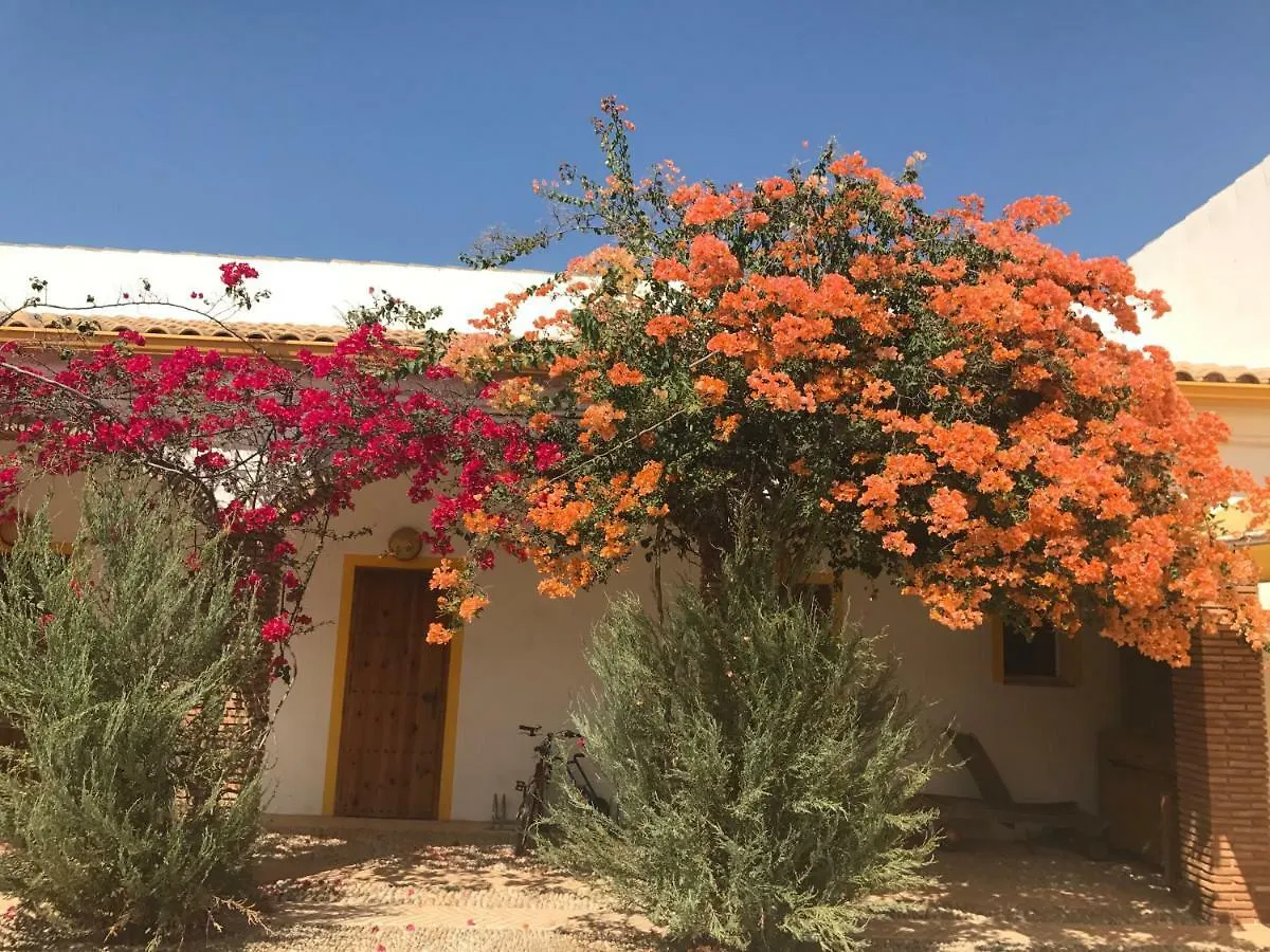 Holiday home Finca Las Gateras Villamartin